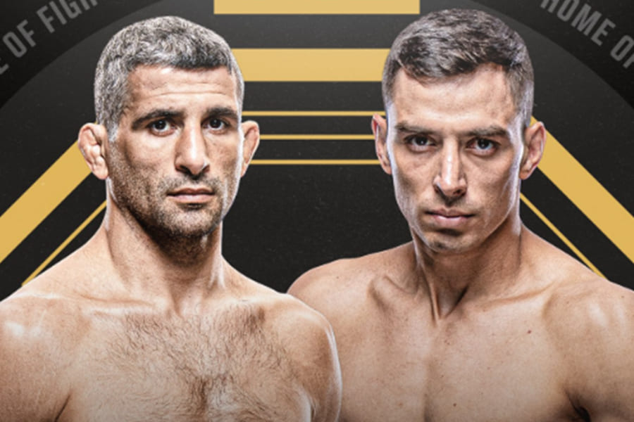 UFC 237 - Torres vs Dariush. Source: MMAROCKS